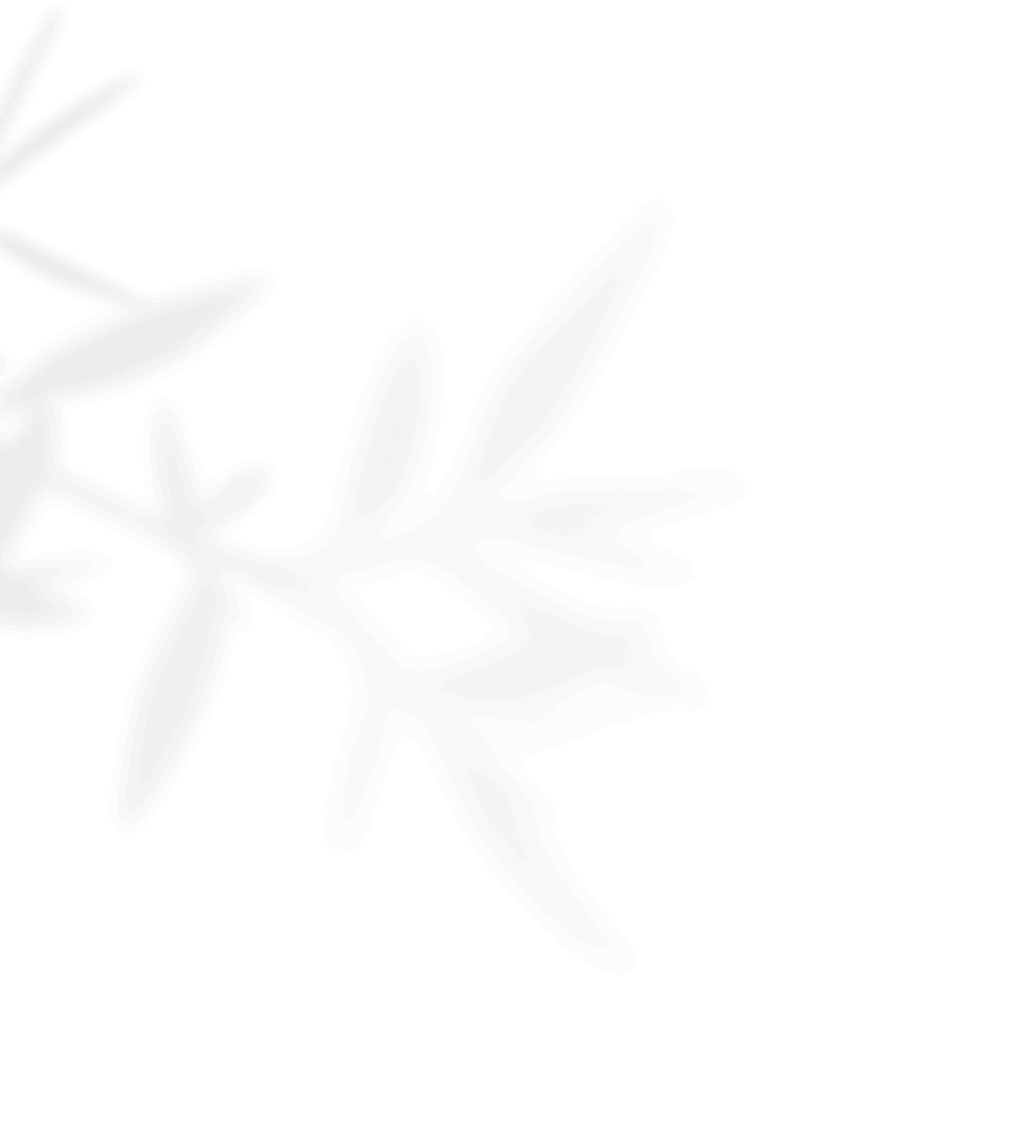 https://calliopewedding.com/wp-content/uploads/2020/11/shadow_leaves_01.png