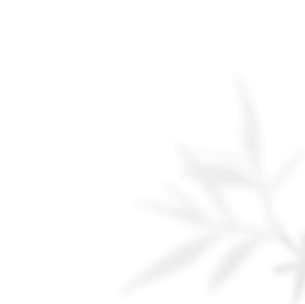 https://calliopewedding.com/wp-content/uploads/2020/11/shadow_leaves_02.png
