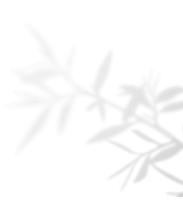 https://calliopewedding.com/wp-content/uploads/2020/11/shadow_leaves_04.png