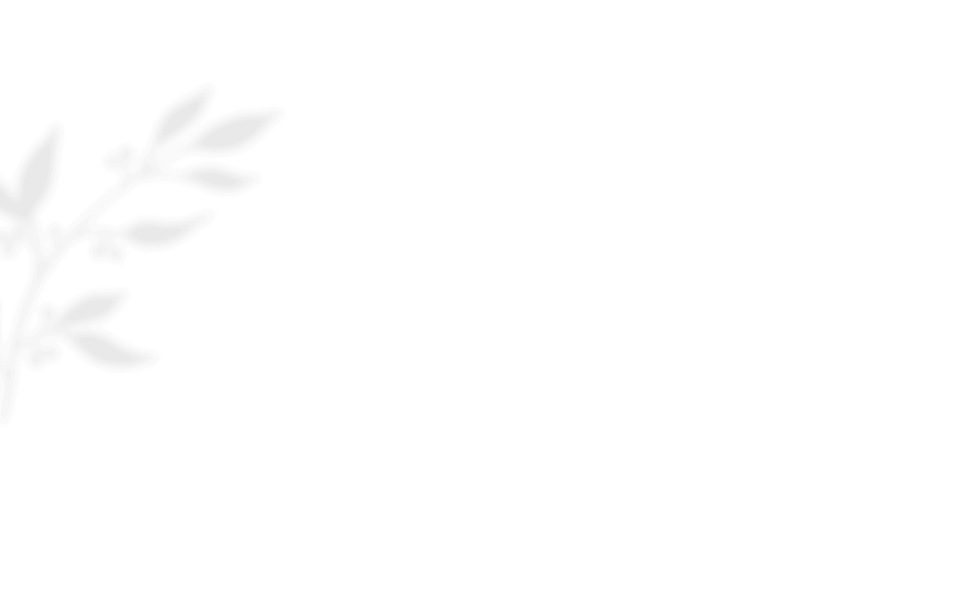 shadow_leaves_01 https://calliopewedding.com/wp-content/uploads/2020/12/shadow_leaves_01.png