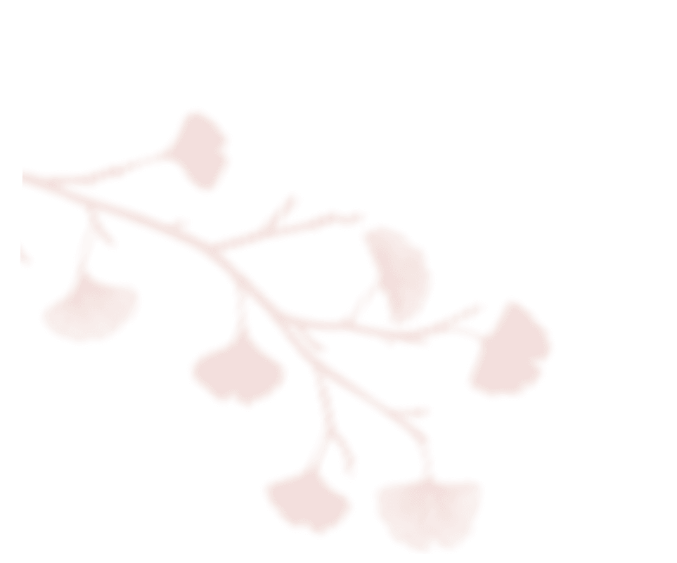 shadow_leaves_06 https://calliopewedding.com/wp-content/uploads/2020/12/shadow_leaves_06.png
