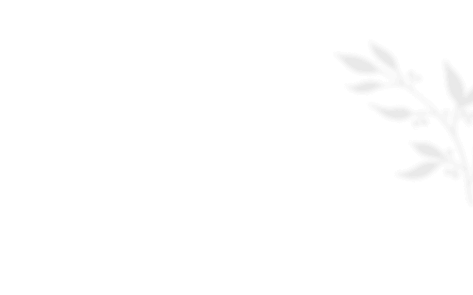 shadow_leaves_08 https://calliopewedding.com/wp-content/uploads/2021/01/shadow_leaves_08.png